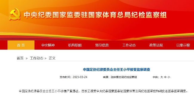 欧美成人自拍视频