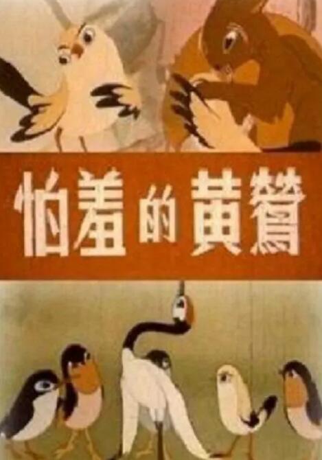 午夜视频黄色