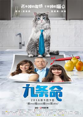 av女在线观看