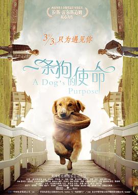 成人黄色免费网站在线观看