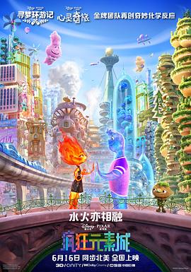 长款