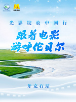 成人网在线视频