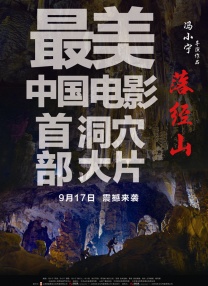 免费看的黄色网