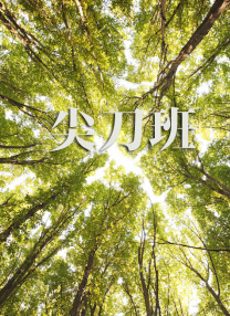 亚洲精品视频观看